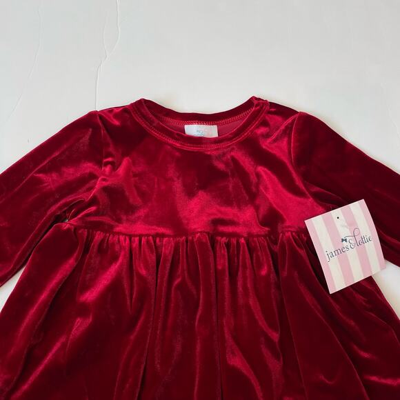 NWT James & Lottie 3T Vivi Velvet Dress - Picture 2 of 4